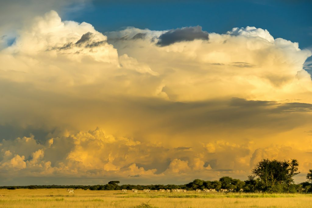 South Africa Appointed Interim Chair of SADC